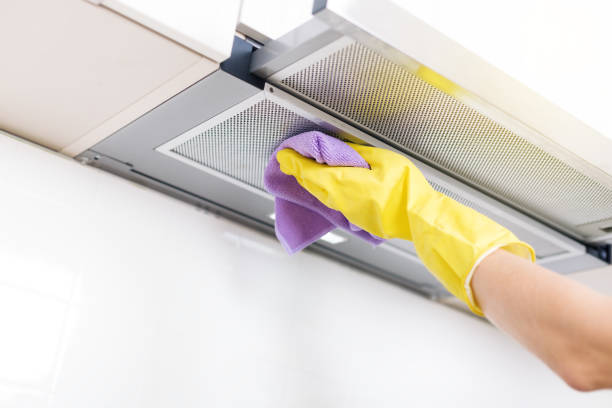 Best Air Vent Cleaning Services  in Constantine, MI